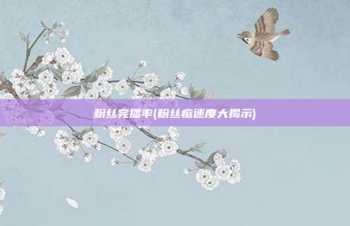 粉丝完播率(粉丝痴迷度大揭示)  第1张
