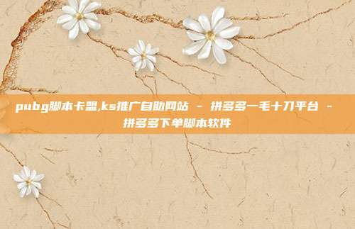 pubg脚本卡盟,ks推广自助网站 - 拼多多一毛十刀平台 拼多多下单脚本软件  第1张