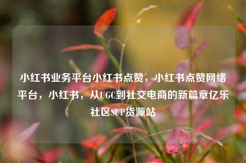 小红书业务平台小红书点赞	，小红书点赞网络平台，小红书，从UGC到社交电商的新篇章亿乐社区SUP货源站  第1张