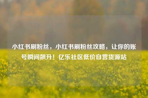 小红书刷粉丝，小红书刷粉丝攻略，让你的账号瞬间飙升！亿乐社区低价自营货源站  第1张