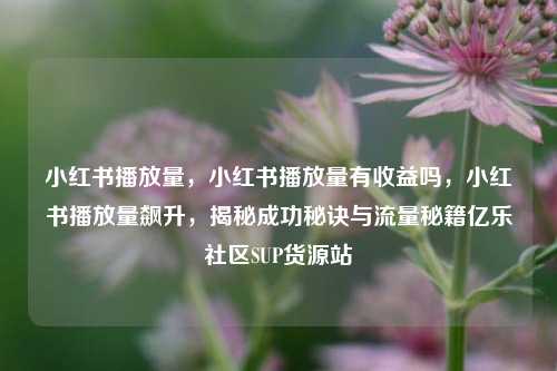 小红书播放量	，小红书播放量有收益吗，小红书播放量飙升，揭秘成功秘诀与流量秘籍亿乐社区SUP货源站  第1张