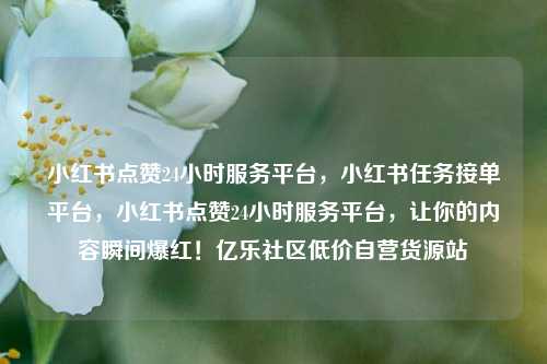 小红书点赞24小时服务平台，小红书任务接单平台	，小红书点赞24小时服务平台，让你的内容瞬间爆红！亿乐社区低价自营货源站  第1张