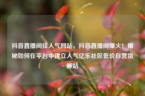 抖音直播间挂人气网站，抖音直播间爆火！揭秘如何在平台中建立人气亿乐社区低价自营货源站  第1张