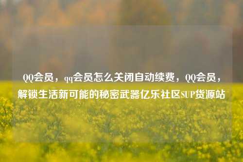 QQ会员，qq会员怎么关闭自动续费	，QQ会员，解锁生活新可能的秘密武器亿乐社区SUP货源站  第1张