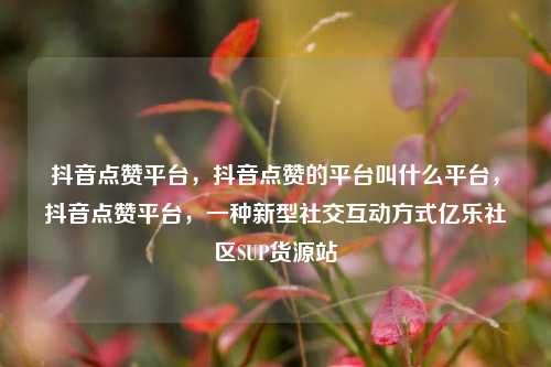 抖音点赞平台	，抖音点赞的平台叫什么平台，抖音点赞平台，一种新型社交互动方式亿乐社区SUP货源站  第1张