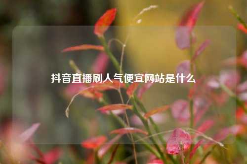 抖音直播刷人气便宜网站是什么  第1张