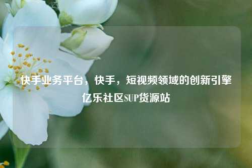 快手业务平台，快手	，短视频领域的创新引擎亿乐社区SUP货源站  第1张