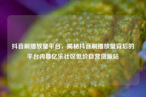 抖音刷播放量平台，揭秘抖音刷播放量背后的平台内幕亿乐社区低价自营货源站  第1张