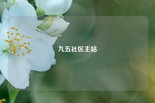 九五社区主站  第1张