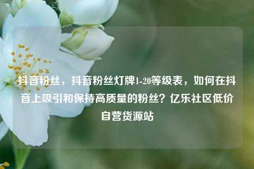 抖音粉丝，抖音粉丝灯牌1-20等级表，如何在抖音上吸引和保持高质量的粉丝？亿乐社区低价自营货源站  第1张
