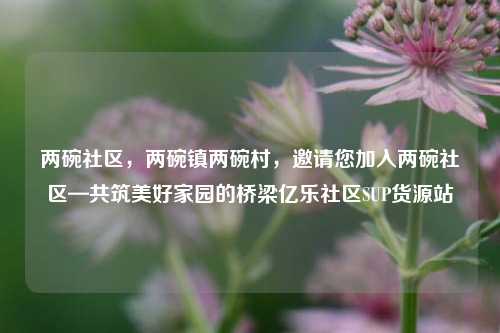 两碗社区，两碗镇两碗村	，邀请您加入两碗社区—共筑美好家园的桥梁亿乐社区SUP货源站  第1张