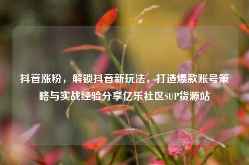 抖音涨粉	，解锁抖音新玩法，打造爆款账号策略与实战经验分享亿乐社区SUP货源站  第1张