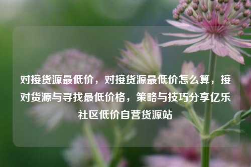 对接货源最低价，对接货源最低价怎么算	，接对货源与寻找最低价格，策略与技巧分享亿乐社区低价自营货源站  第1张