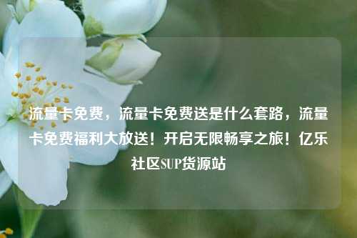 流量卡免费，流量卡免费送是什么套路，流量卡免费福利大放送！开启无限畅享之旅！亿乐社区SUP货源站  第1张