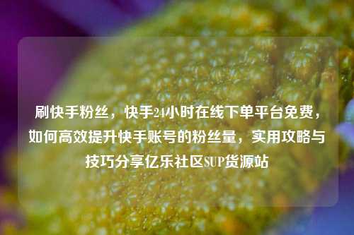 刷快手粉丝，快手24小时在线下单平台免费，如何高效提升快手账号的粉丝量	，实用攻略与技巧分享亿乐社区SUP货源站  第1张