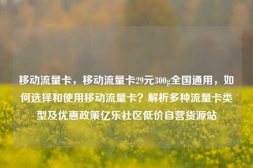 移动流量卡，移动流量卡29元300g全国通用	，如何选择和使用移动流量卡？解析多种流量卡类型及优惠政策亿乐社区低价自营货源站  第1张