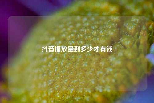 抖音播放量到多少才有钱  第1张
