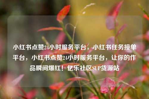 小红书点赞24小时服务平台，小红书任务接单平台	，小红书点赞24小时服务平台，让你的作品瞬间爆红！亿乐社区SUP货源站  第1张
