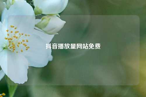 抖音播放量网站免费  第1张