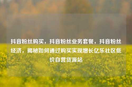 抖音粉丝购买，抖音粉丝业务套餐，抖音粉丝经济	，揭秘如何通过购买实现增长亿乐社区低价自营货源站  第1张