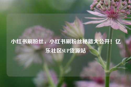 小红书刷粉丝	，小红书刷粉丝秘籍大公开！亿乐社区SUP货源站  第1张
