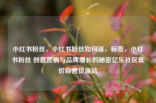 小红书粉丝，小红书粉丝如何涨，标签，小红书粉丝 创意营销与品牌增长的秘密亿乐社区低价自营货源站  第1张
