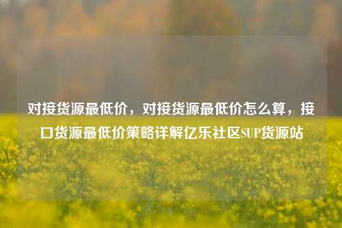 对接货源最低价，对接货源最低价怎么算，接口货源最低价策略详解亿乐社区SUP货源站  第1张