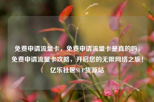 免费申请流量卡	，免费申请流量卡是真的吗，免费申请流量卡攻略，开启您的无限网络之旅！亿乐社区SUP货源站  第1张