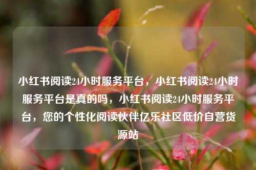小红书阅读24小时服务平台，小红书阅读24小时服务平台是真的吗，小红书阅读24小时服务平台	，您的个性化阅读伙伴亿乐社区低价自营货源站  第1张