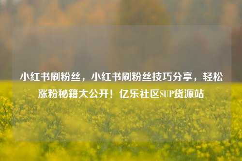 小红书刷粉丝，小红书刷粉丝技巧分享	，轻松涨粉秘籍大公开！亿乐社区SUP货源站  第1张