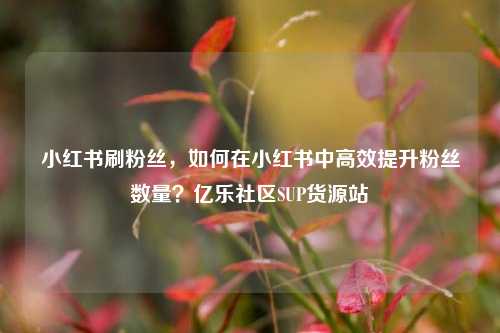 小红书刷粉丝	，如何在小红书中高效提升粉丝数量？亿乐社区SUP货源站  第1张