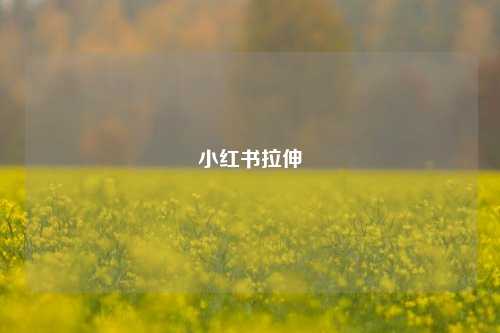 小红书拉伸  第1张
