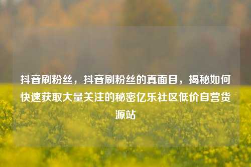 抖音刷粉丝	，抖音刷粉丝的真面目，揭秘如何快速获取大量关注的秘密亿乐社区低价自营货源站  第1张