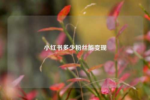 小红书多少粉丝能变现  第1张