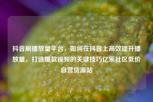 抖音刷播放量平台，如何在抖音上高效提升播放量	，打造爆款视频的关键技巧亿乐社区低价自营货源站  第1张