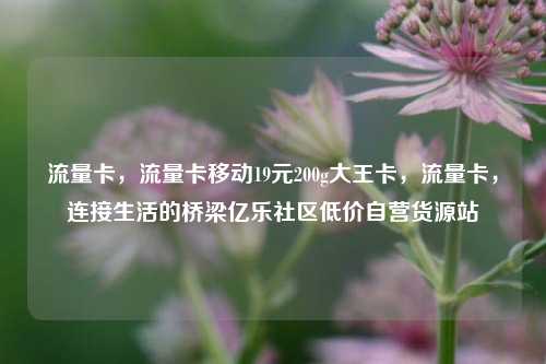 流量卡	，流量卡移动19元200g大王卡，流量卡，连接生活的桥梁亿乐社区低价自营货源站  第1张