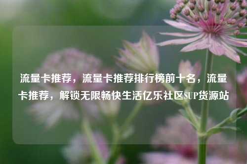 流量卡推荐，流量卡推荐排行榜前十名	，流量卡推荐，解锁无限畅快生活亿乐社区SUP货源站  第1张