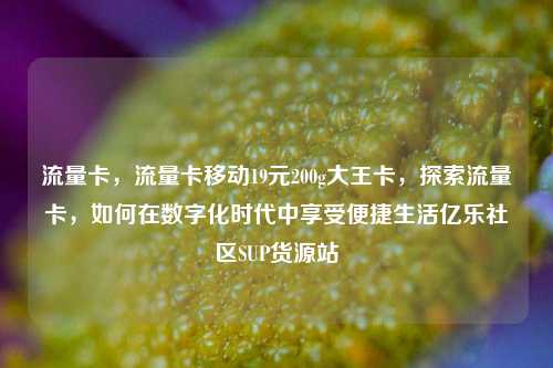 流量卡，流量卡移动19元200g大王卡，探索流量卡	，如何在数字化时代中享受便捷生活亿乐社区SUP货源站  第1张
