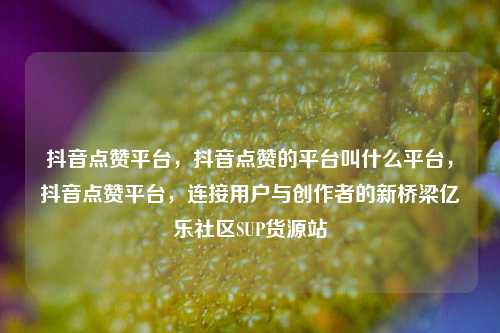 抖音点赞平台，抖音点赞的平台叫什么平台	，抖音点赞平台，连接用户与创作者的新桥梁亿乐社区SUP货源站  第1张