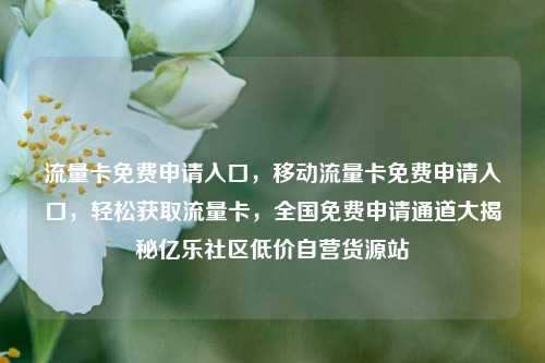 流量卡免费申请入口	，移动流量卡免费申请入口，轻松获取流量卡，全国免费申请通道大揭秘亿乐社区低价自营货源站  第1张