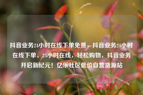 抖音业务24小时在线下单免费	，抖音业务24小时在线下单，24小时在线，轻松购物，抖音业务开启新纪元！亿乐社区低价自营货源站  第1张