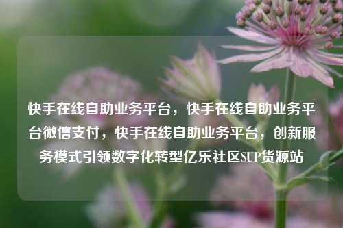 快手在线自助业务平台	，快手在线自助业务平台微信支付，快手在线自助业务平台，创新服务模式引领数字化转型亿乐社区SUP货源站  第1张