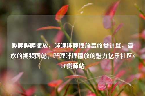 哔哩哔哩播放	，哔哩哔哩播放量收益计算，喜欢的视频网站，哔哩哔哩播放的魅力亿乐社区SUP货源站  第1张