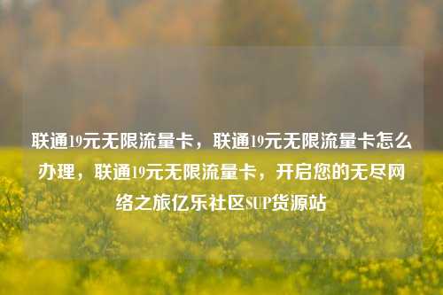 联通19元无限流量卡，联通19元无限流量卡怎么办理	，联通19元无限流量卡，开启您的无尽网络之旅亿乐社区SUP货源站  第1张