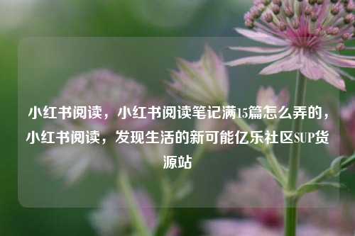 小红书阅读，小红书阅读笔记满15篇怎么弄的	，小红书阅读，发现生活的新可能亿乐社区SUP货源站  第1张