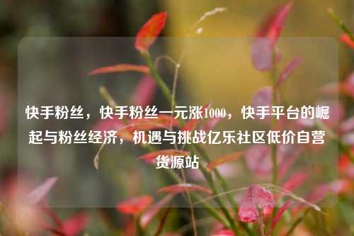快手粉丝，快手粉丝一元涨1000	，快手平台的崛起与粉丝经济，机遇与挑战亿乐社区低价自营货源站  第1张