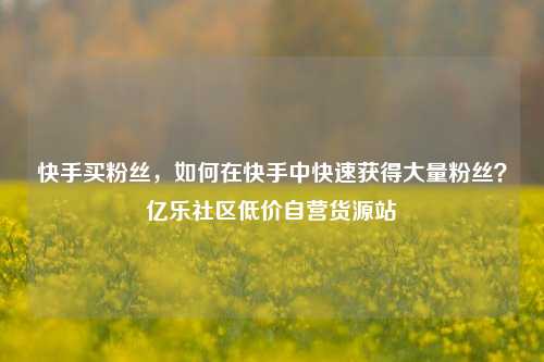 快手买粉丝，如何在快手中快速获得大量粉丝？亿乐社区低价自营货源站  第1张