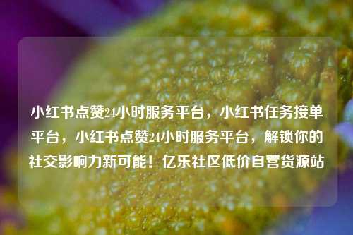 小红书点赞24小时服务平台	，小红书任务接单平台，小红书点赞24小时服务平台，解锁你的社交影响力新可能！亿乐社区低价自营货源站  第1张