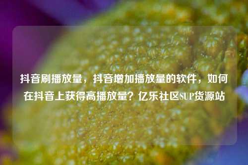 抖音刷播放量，抖音增加播放量的软件，如何在抖音上获得高播放量？亿乐社区SUP货源站  第1张