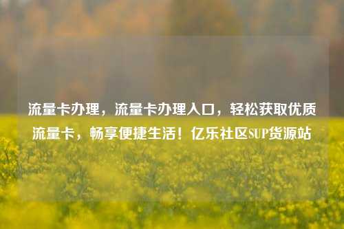 流量卡办理	，流量卡办理入口，轻松获取优质流量卡，畅享便捷生活！亿乐社区SUP货源站  第1张